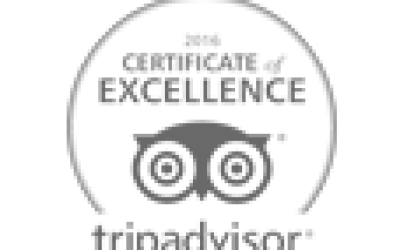 wyróżnienie tripadvisor wyróżnienie